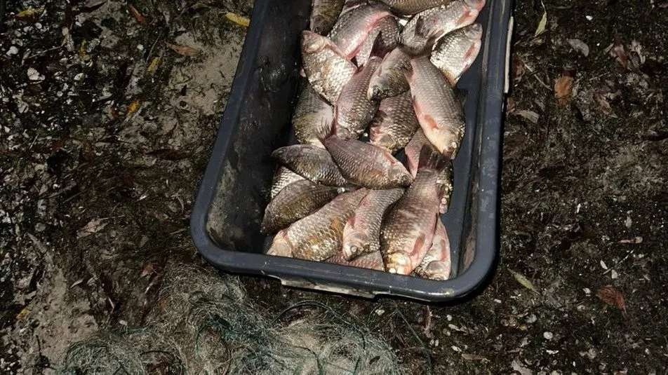 На Дніпровському водосховищі в Майорці виявили порушника, який ловив рибу жилковою сіткою