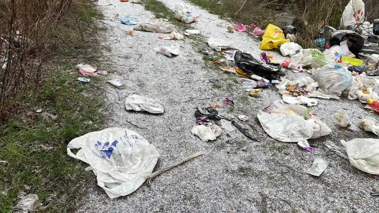 Кам’янське потерпає від стихійного сміттєзвалища у “Водяній балці” Кам’янське потерпає від стихійного сміттєзвалища у “Водяній балці”