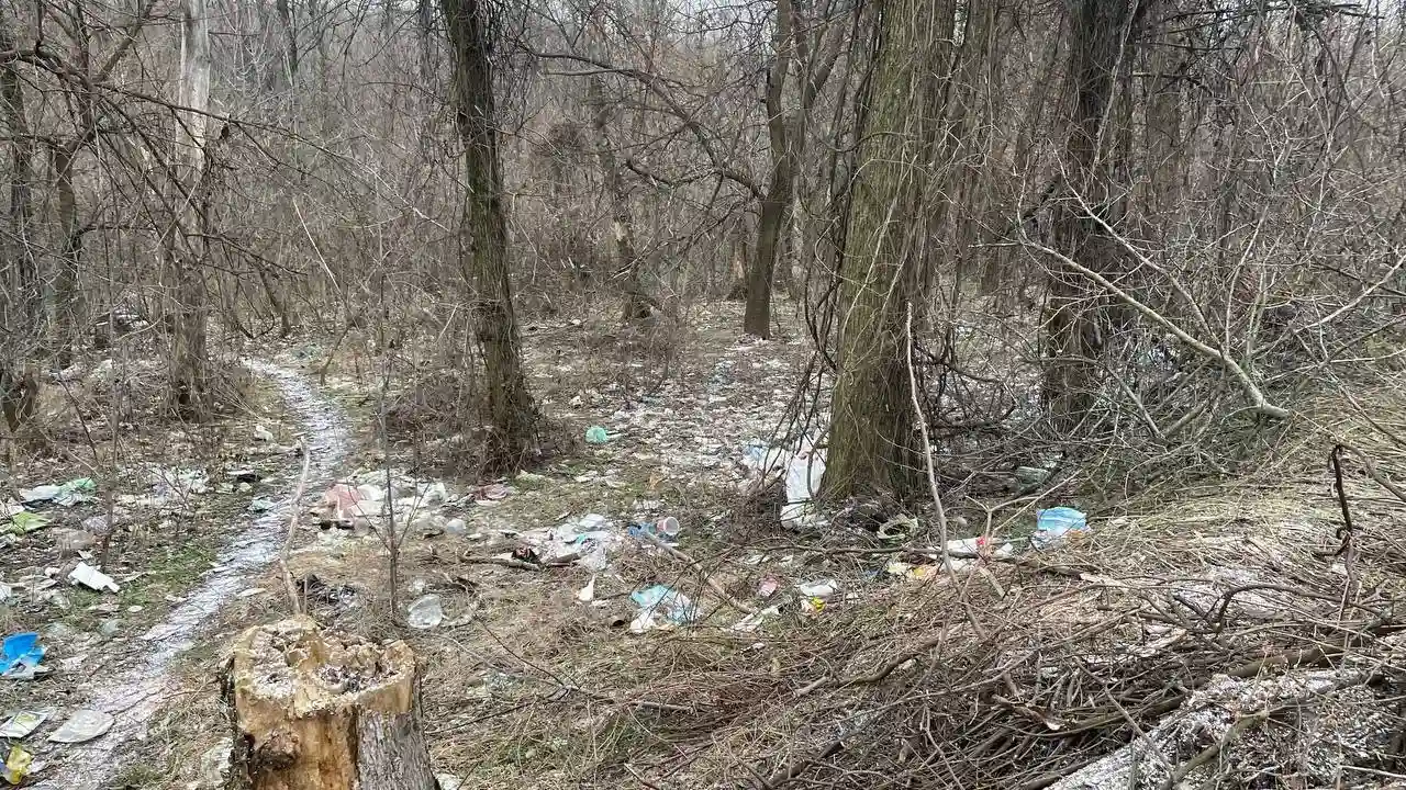 Кам’янське потерпає від стихійного сміттєзвалища у “Водяній балці” Кам’янське потерпає від стихійного сміттєзвалища у “Водяній балці”