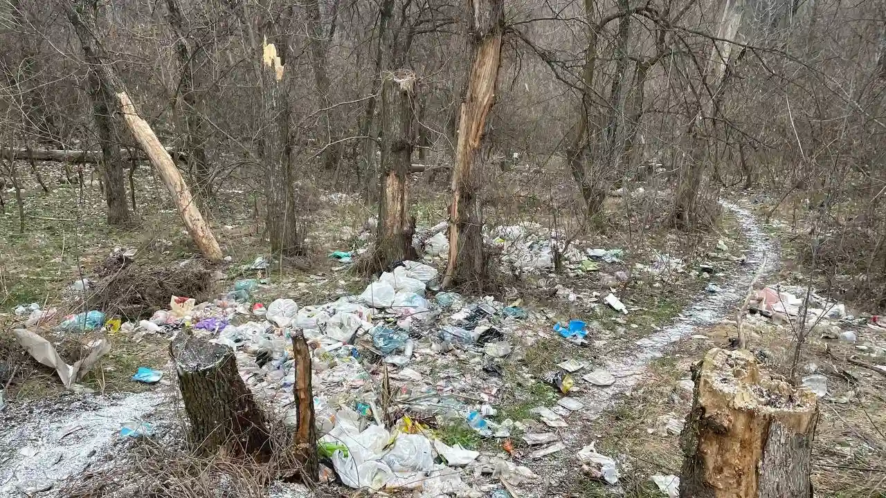 Кам’янське потерпає від стихійного сміттєзвалища у “Водяній балці”