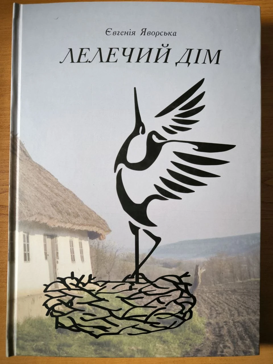 Шість крапок, що змінюють місто: як у Кам’янському відкривають простір для людей із порушеннями зору