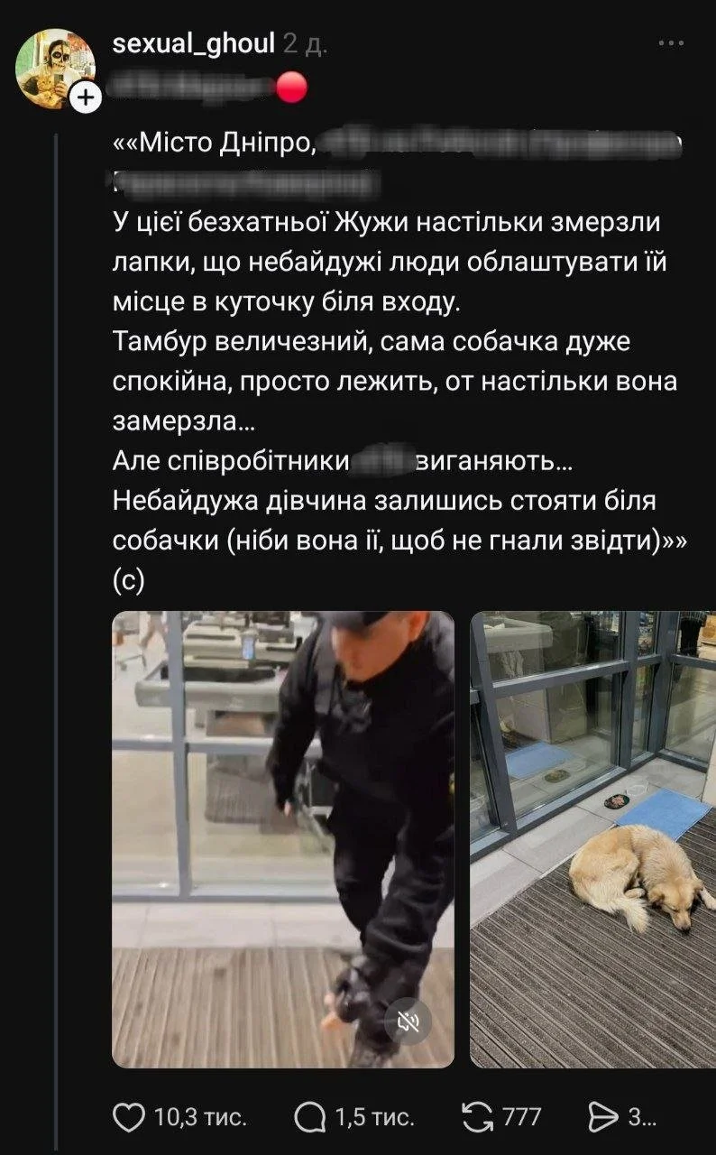 Тепло проти правил: у Дніпрі історія з бездомним псом переросла у гучний суспільний конфлікт