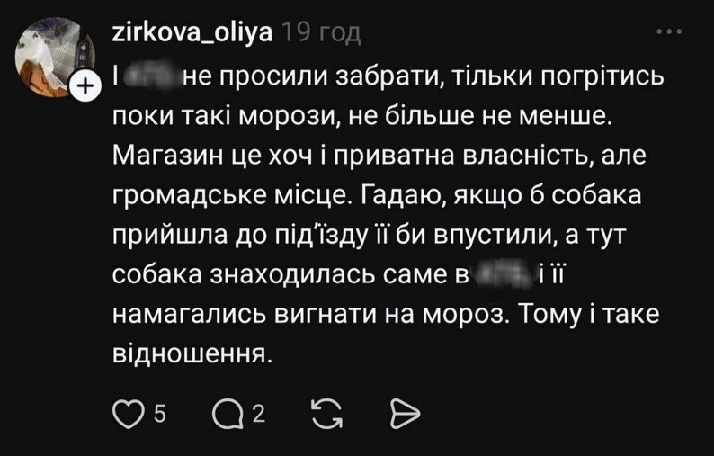 Тепло проти правил: у Дніпрі історія з бездомним псом переросла у гучний суспільний конфлікт