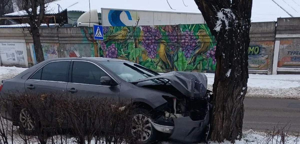 Аварія в Кам’янському: легковик вилетів з дороги та врізався в дерево