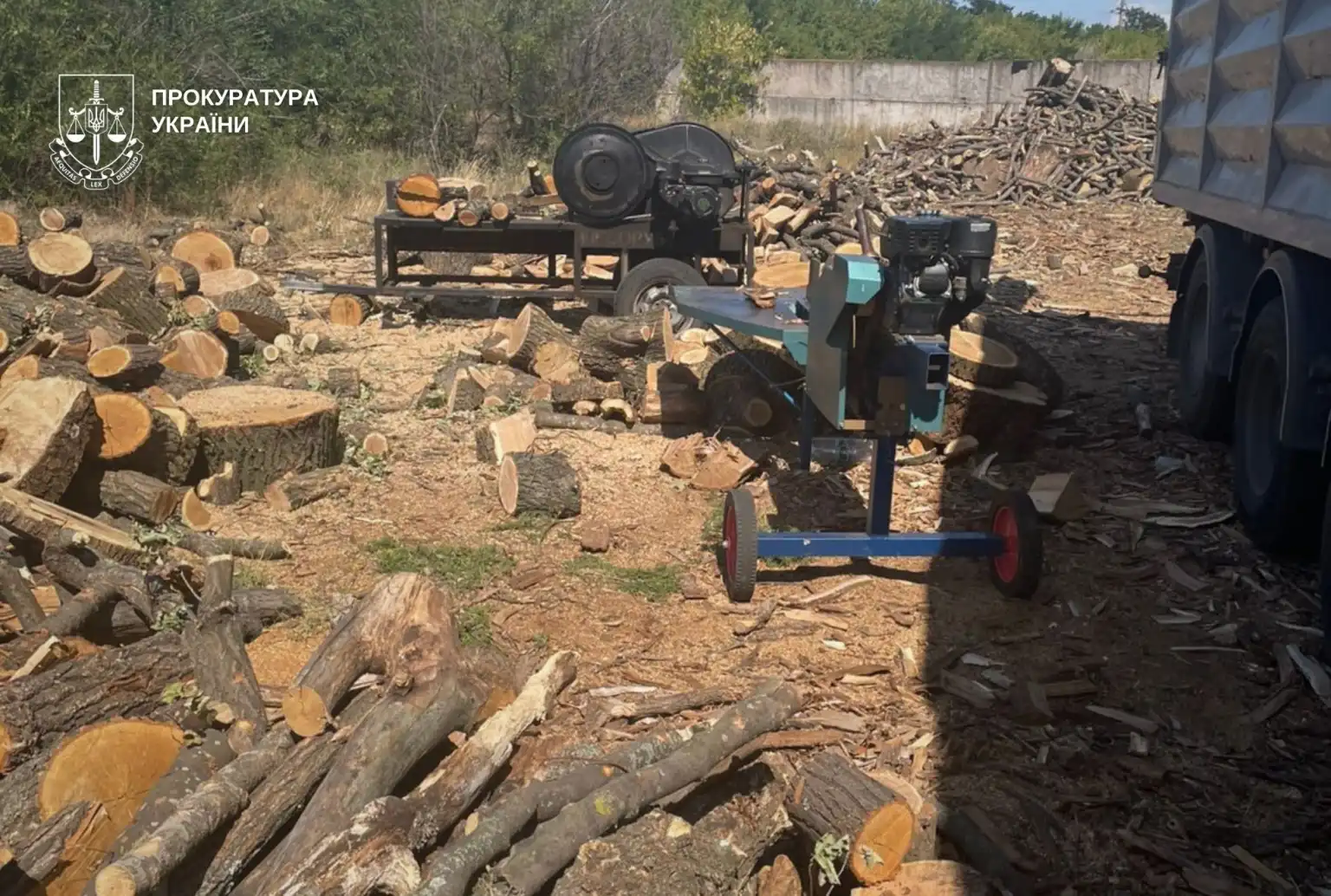Незаконна вирубка на десятки мільйонів: у Кам’янському районі судитимуть організовану групу