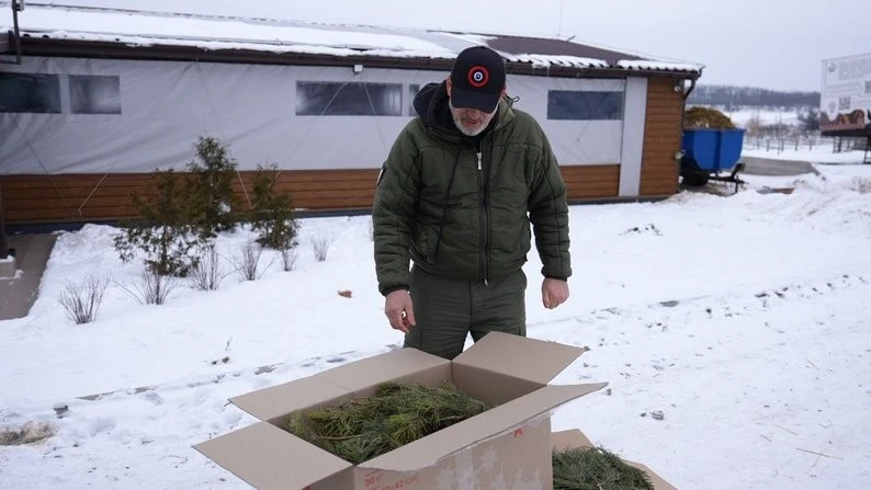 Ялинки замість ласощів: як новорічні дерева рятують евакуйованих тварин на Дніпропетровщині