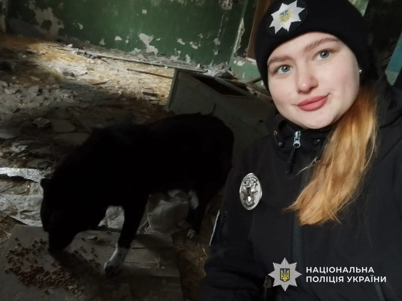Ризикована доброта: у Кам’янському поліцейські знімали дитину та собак з аварійного даху