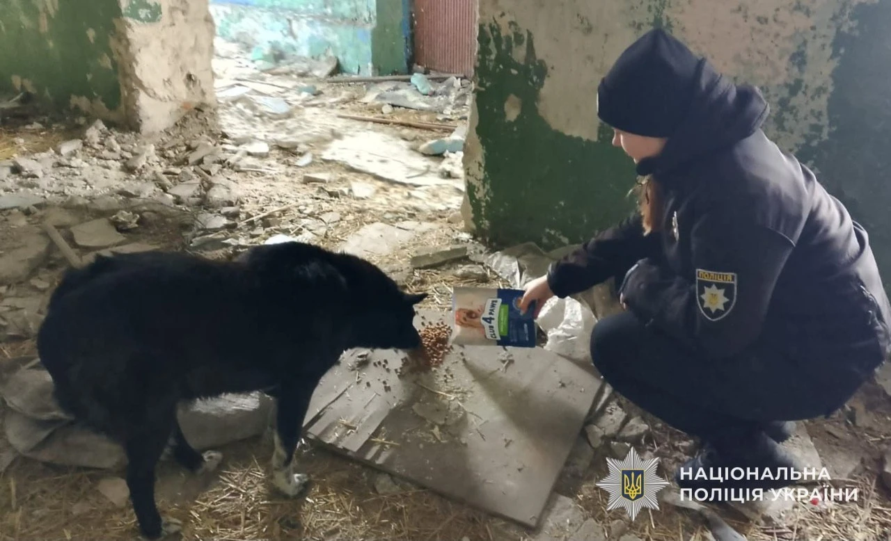 Ризикована доброта: у Кам’янському поліцейські знімали дитину та собак з аварійного даху