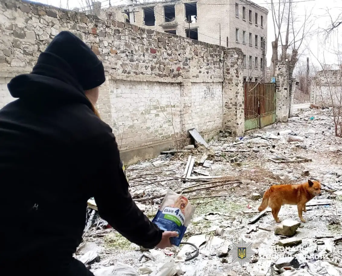 Ризикована доброта: у Кам’янському поліцейські знімали дитину та собак з аварійного даху