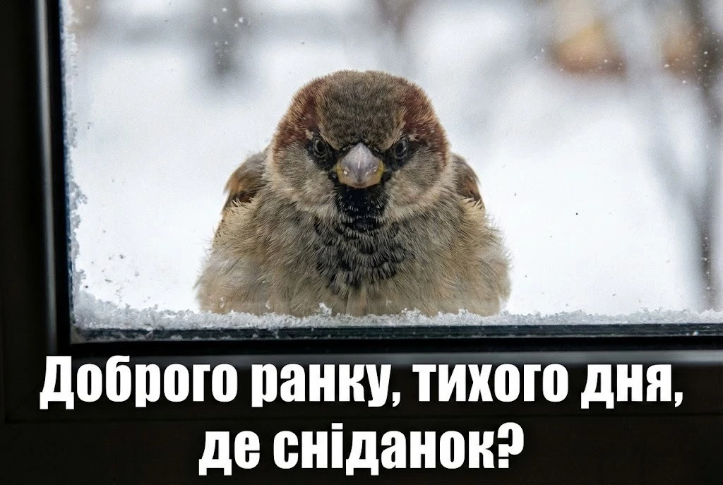 Доброго ранку та тихого дня: красиві картинки та душевні листівки для гарного настрою