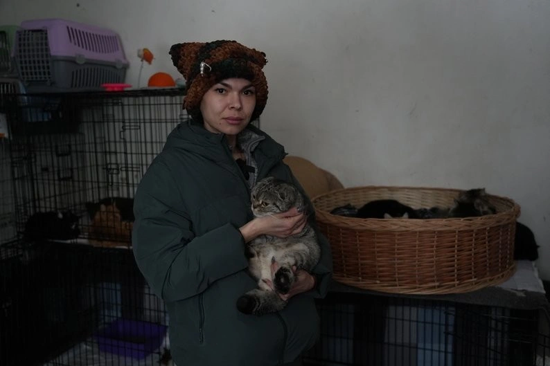 Замість теплих домівок – лінія вогню: історія порятунку шести котів з прифронтової Межової