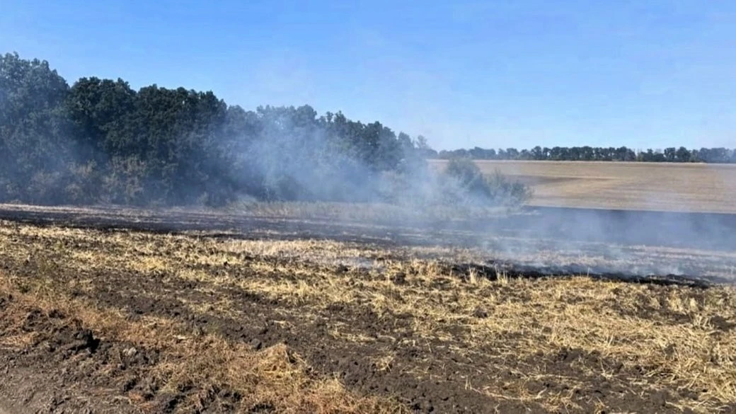 Палій стерні з Дніпропетровщини постане перед судом за екологічні збитки на 2 мільйони