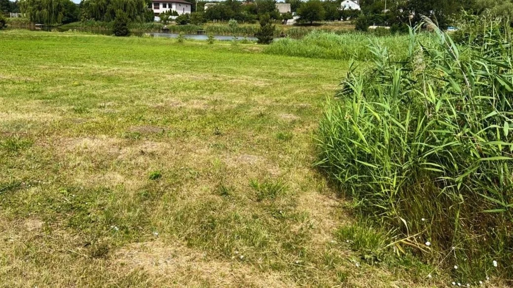 Землі водного фонду на Дніпровщині намагаються повернути громаді через суд