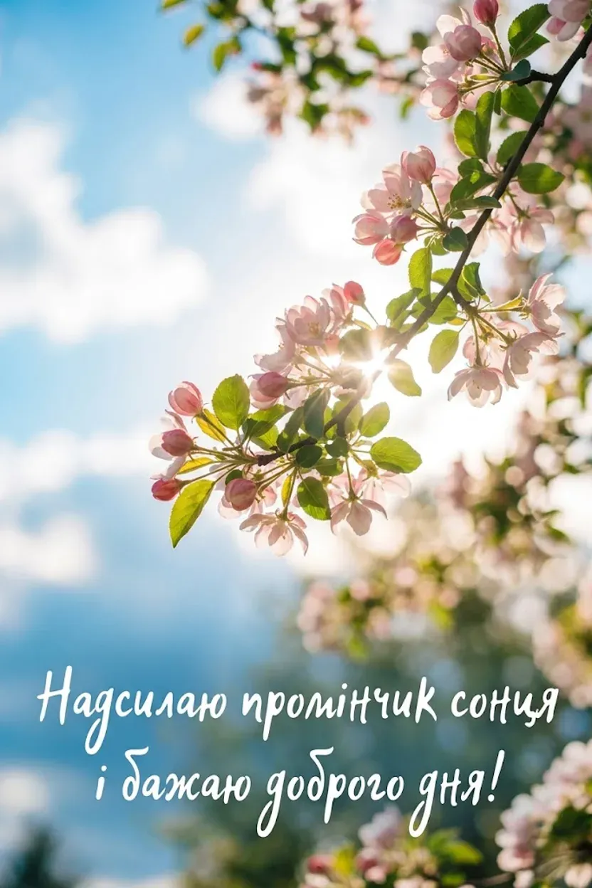 Найкращі листівки доброго дня: душевна добірка привітань для чудового настрою