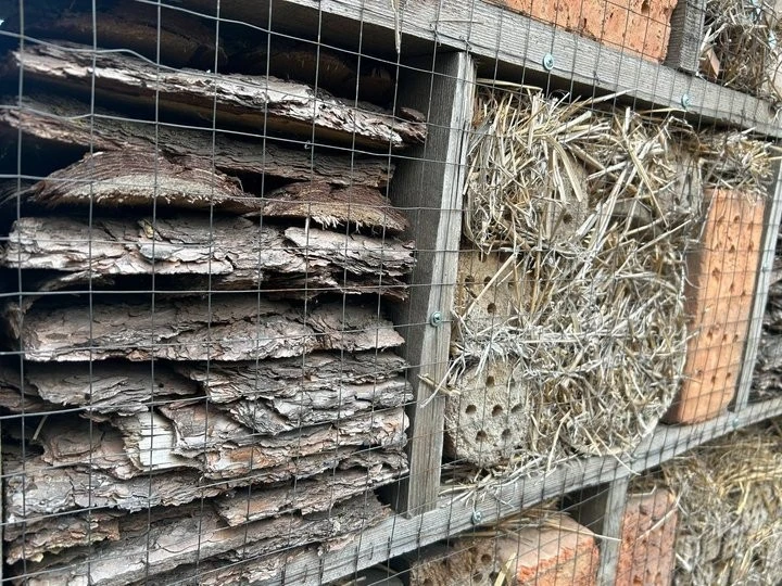 Павлоградські екологи збудували готель для захисту саду від шкідників