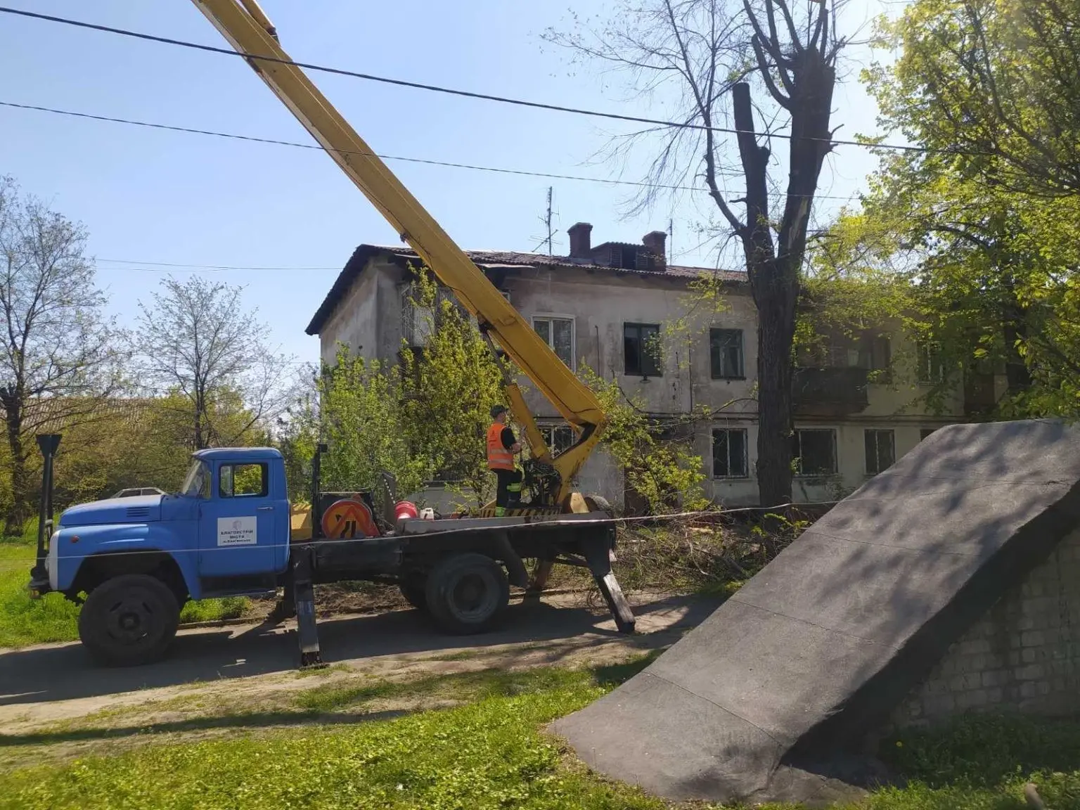 Безпека та омолодження: чому у Кам’янському масово обрізають дерева