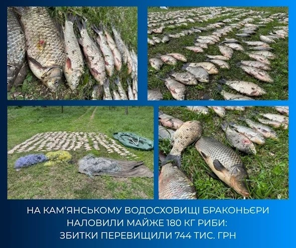 Масштабне браконьєрство на Кам’янському водосховищі: збитки сягнули майже 750 тисяч