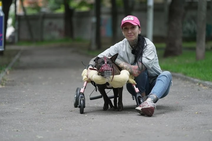Людські клітини проти рідкісної хвороби: у Дніпрі рятують унікального пітбуля