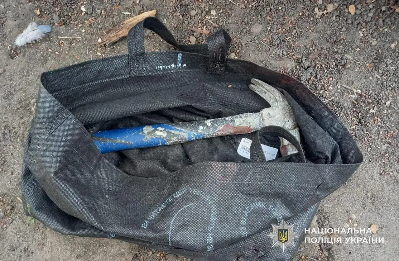 Перед судом постануть двоє чоловіків за жорстоке побиття літньої жінки в Жовтих Водах
